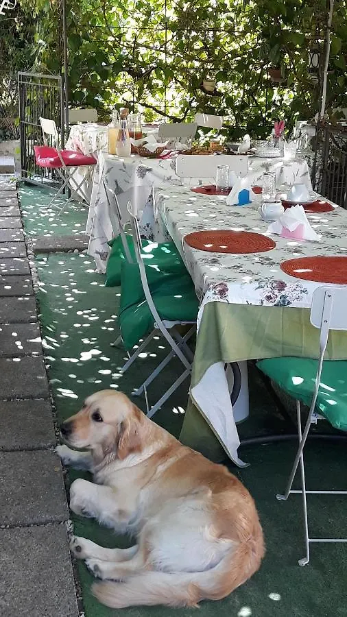 Nel Giardino Di Alice Bed & Breakfast Gavorrano