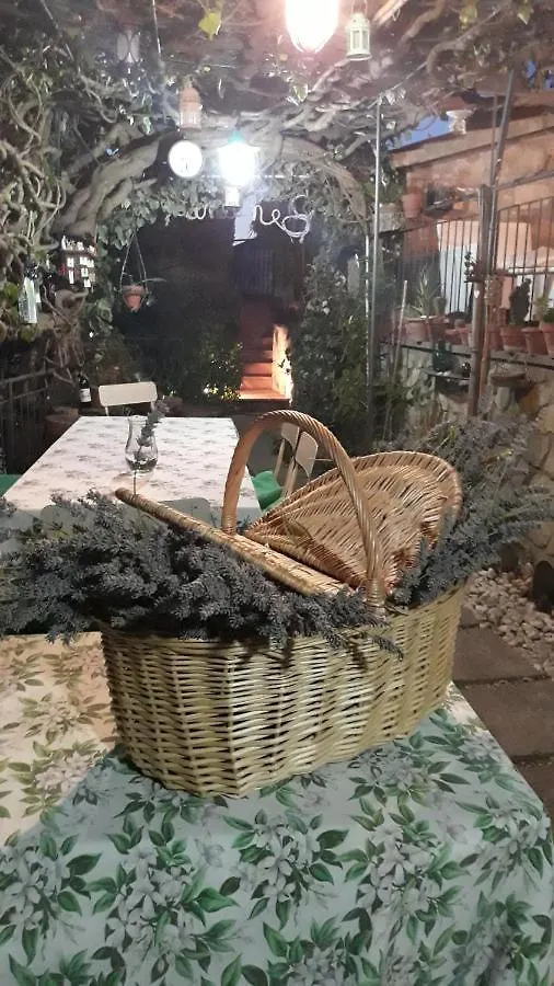 Nel Giardino Di Alice Bed & Breakfast Gavorrano