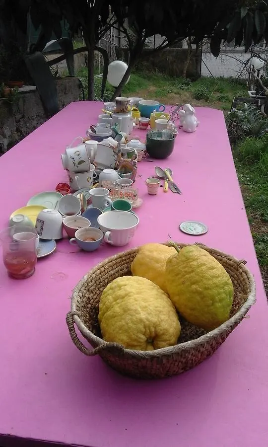 Nel Giardino Di Alice Bed & Breakfast Gavorrano 0*,  Italy