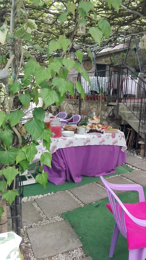 Nel Giardino Di Alice Bed & Breakfast Gavorrano 0*,